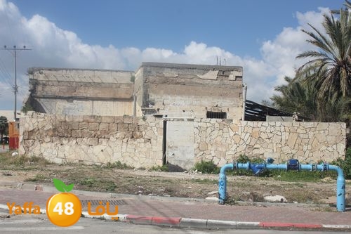 kaniswa7akhadra2 (6).JPG